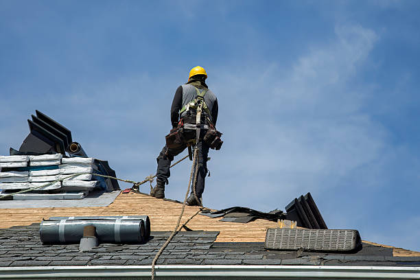 Professional Gutter Installation technician working in Ville Platte, LA